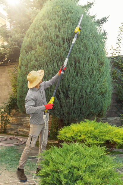 Best Weed Control  in Upland, CA